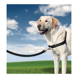 Uprząż przeciw ciągnięciu Easy Walk Harness