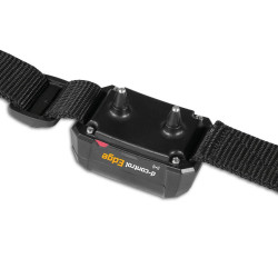 Obroża treningowa Dogtrace d-control Edge 650R z pilotem na palec