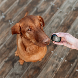 Lokalizator GPS Dogtrace DOG GPS mini
