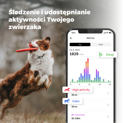 Lokalizator GPS Dogtrace DOG GPS mini