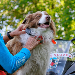 Dogtrace DOG GPS X30T urządzenie śledzące dla psów