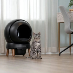 Automatyczna kuweta dla kotów PetSafe® ScoopFree SmartSpin™ Black