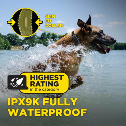 Elektryczna obroża DOGTRA ARC-X