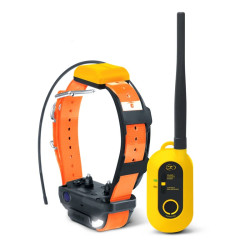 Obroża treningowa i GPS Dogtra Pathfinder 2