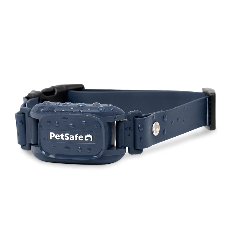 PetSafe